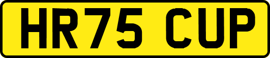 HR75CUP