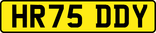 HR75DDY