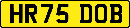 HR75DOB
