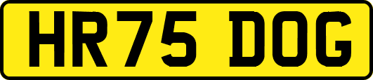 HR75DOG
