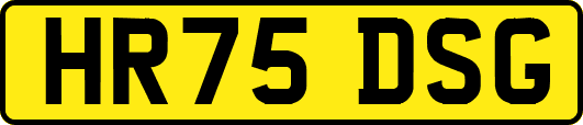 HR75DSG
