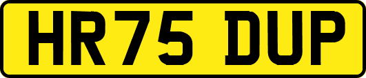 HR75DUP
