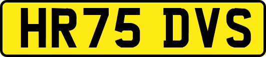 HR75DVS