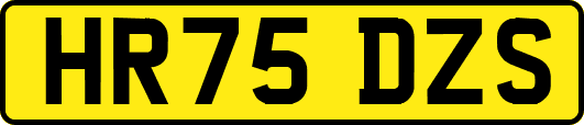 HR75DZS
