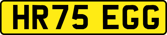 HR75EGG