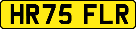 HR75FLR
