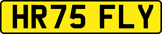 HR75FLY