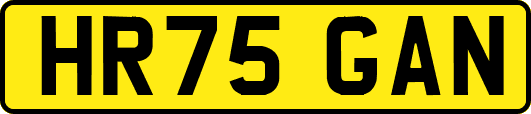 HR75GAN