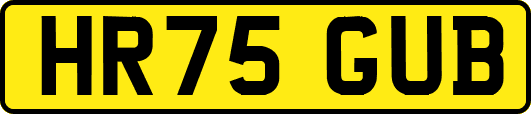 HR75GUB