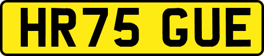 HR75GUE