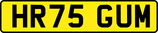 HR75GUM
