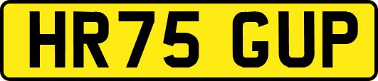 HR75GUP