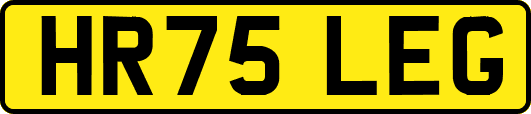 HR75LEG