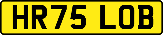 HR75LOB