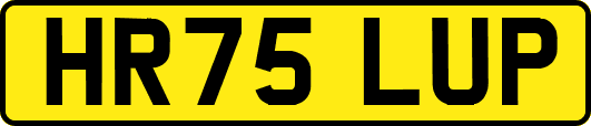 HR75LUP