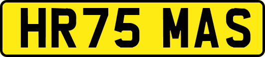 HR75MAS