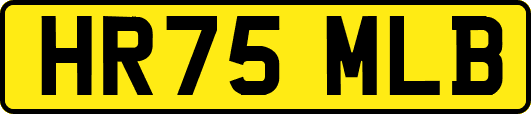 HR75MLB