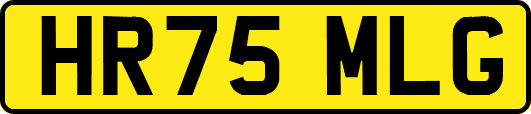HR75MLG