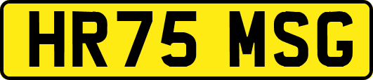 HR75MSG
