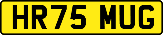 HR75MUG