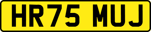 HR75MUJ