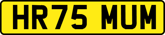 HR75MUM