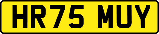 HR75MUY