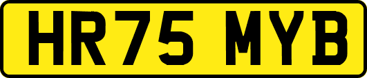 HR75MYB