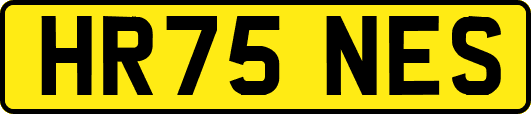 HR75NES