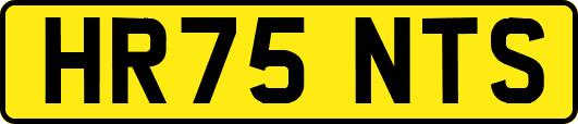 HR75NTS
