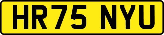 HR75NYU