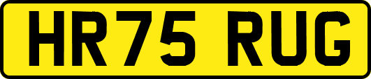 HR75RUG