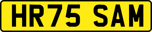 HR75SAM
