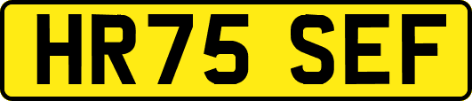 HR75SEF