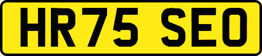 HR75SEO
