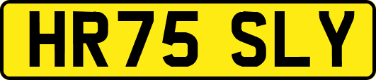 HR75SLY