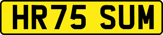 HR75SUM