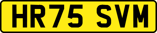 HR75SVM