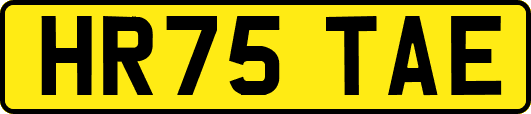 HR75TAE
