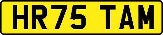 HR75TAM