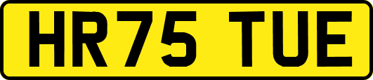 HR75TUE