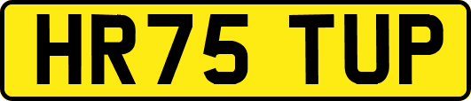 HR75TUP