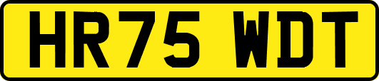 HR75WDT
