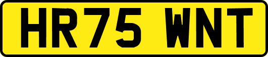 HR75WNT