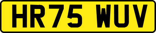 HR75WUV