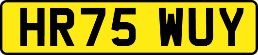 HR75WUY