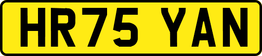 HR75YAN
