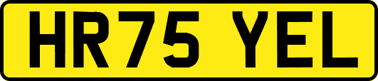 HR75YEL