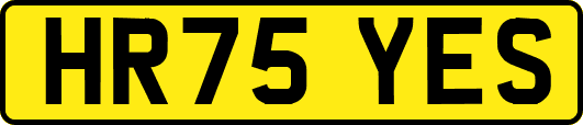 HR75YES