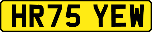 HR75YEW
